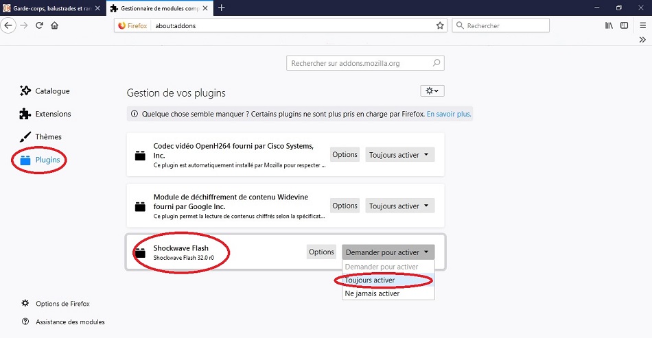 Activer Flash sur Mozilla, étape 2