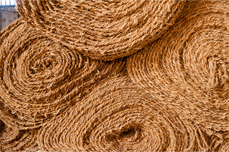 fibre de coco